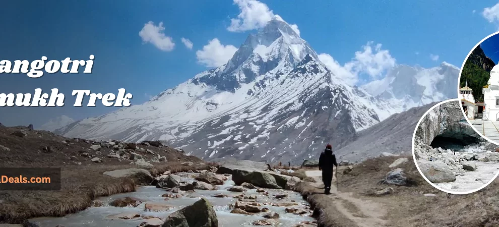 Gangotri Gaumukh Trek Banner