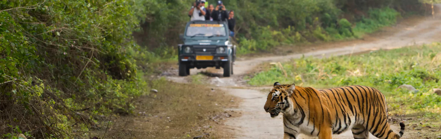 Jim Corbett Tour